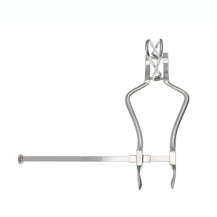 Hake buk Gosset 65x35mm 14cm