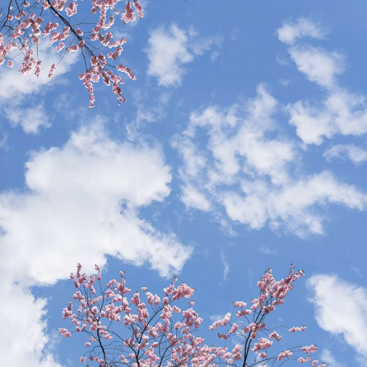 Skytak LED-belysning 120x120cm med himmelsmotiv